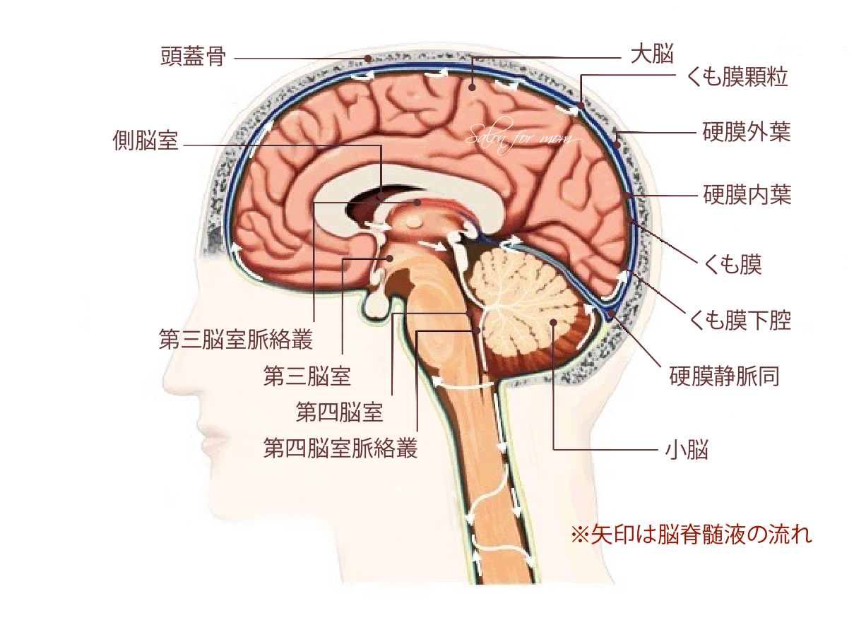 整体で不調改善